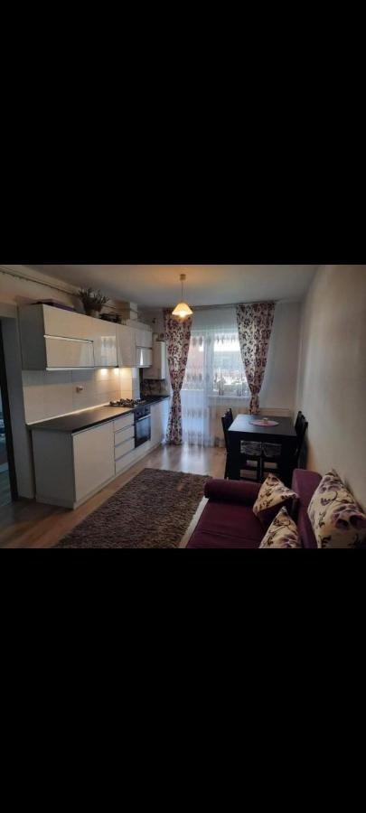 Diana Apartament Daire Braşov Dış mekan fotoğraf