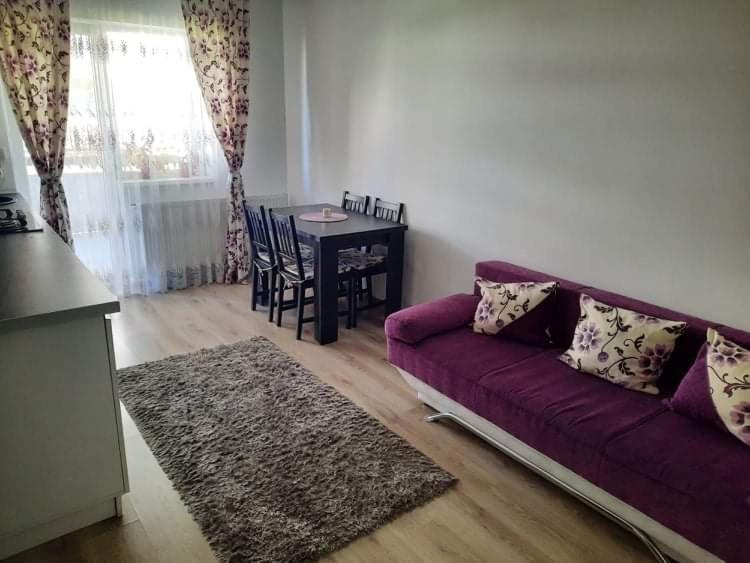Diana Apartament Daire Braşov Dış mekan fotoğraf